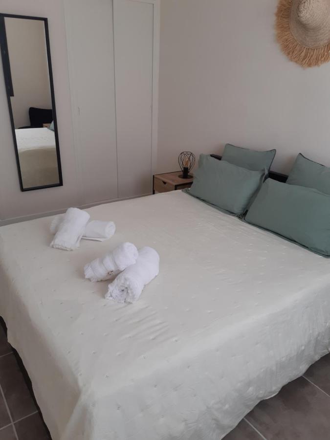 Appartement Fonctionnel Proche Du Centre Ville Narbonne Ngoại thất bức ảnh